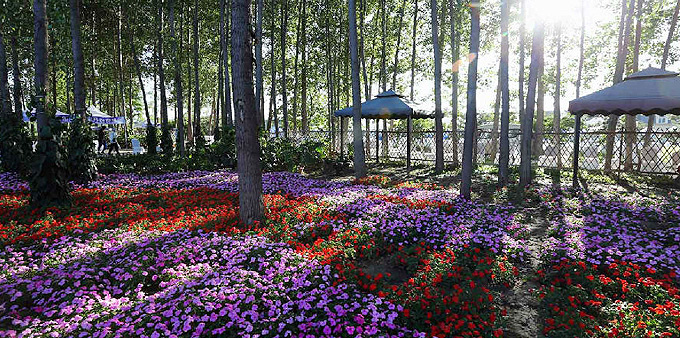 北京拉斐特城堡酒店舉辦夢(mèng)幻主題婚禮秀